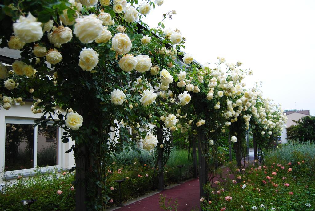 Relais Villa Roncuzzi Russi Exteriör bild