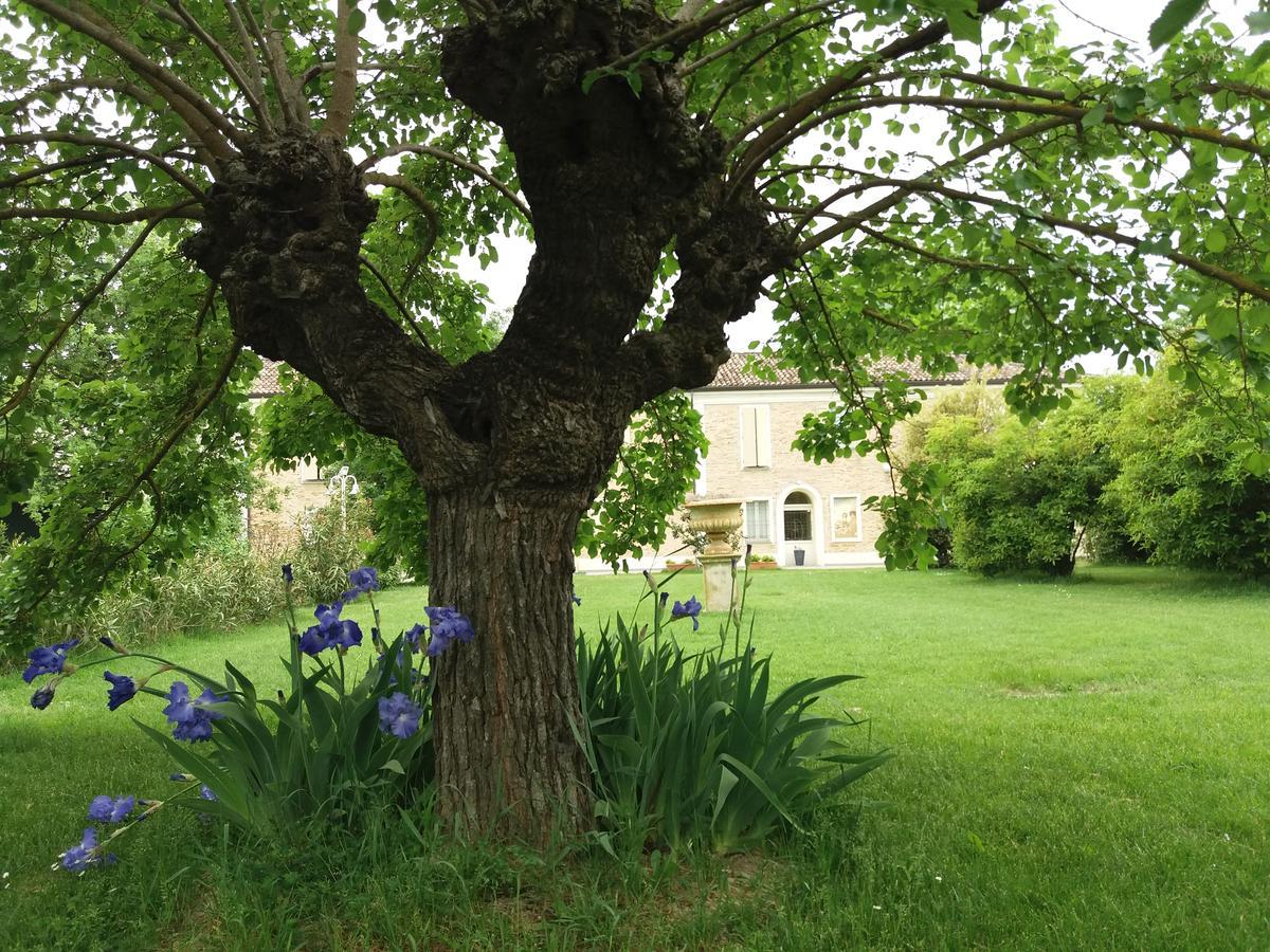 Relais Villa Roncuzzi Russi Exteriör bild
